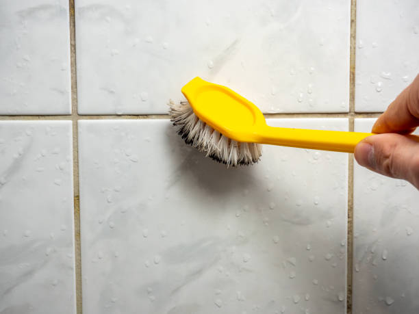 Best Office Mold Removal Services  in Bell Nyon, CA